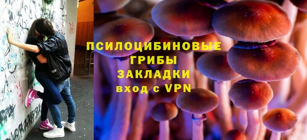 гашик Наволоки