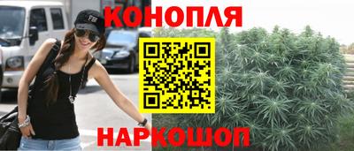 эйфоретик Ачхой-Мартан