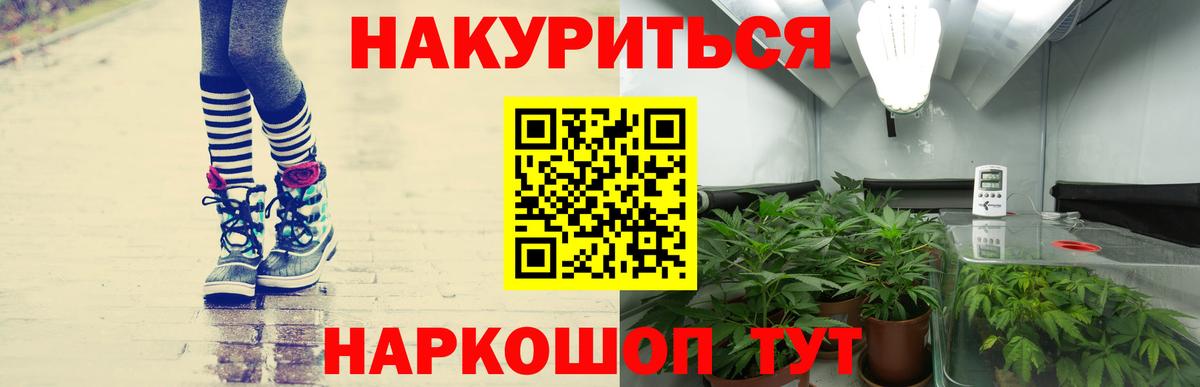 Конопля AK-47 Пятигорск